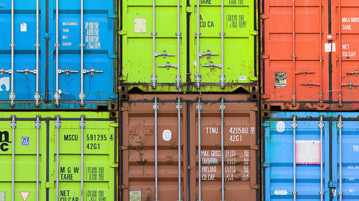 amanda new version web (2)